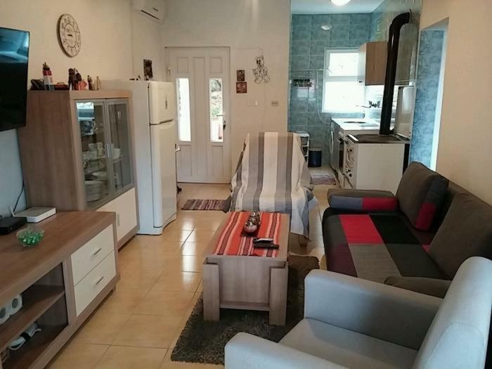 Gogi Apartman Donji Okrug  エクステリア 写真